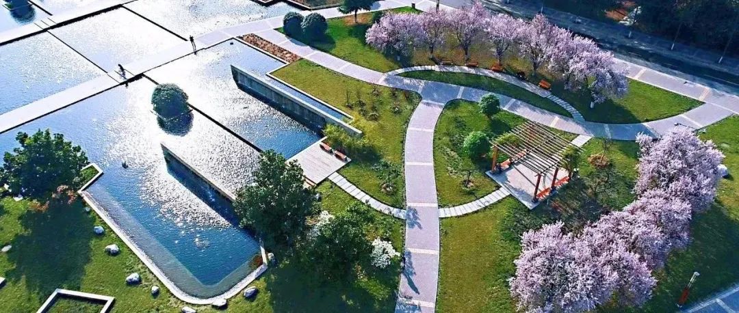 权威发布 | 陕西师范大学2026年博士研究生招生简章 权威发布 | 陕西师范大学2026年博士研究生招生简章