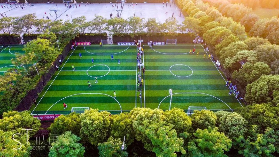 权威发布|西安欧亚学院2025年招生章程 权威发布|西安欧亚学院2025年招生章程