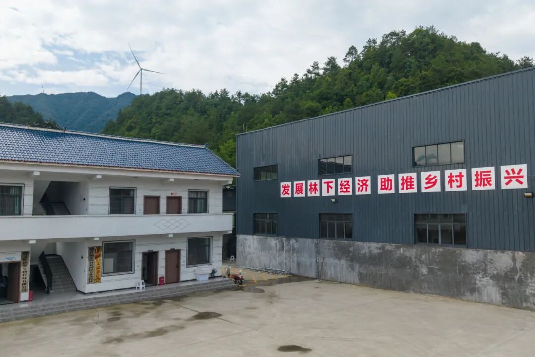 实践育人|寻遵义初心 传长征薪火,西安明德理工学院学子踏赴红色黔北践行青春使命 实践育人|寻遵义初心 传长征薪火,西安明德理工学院学子踏赴红色黔北践行青春使命