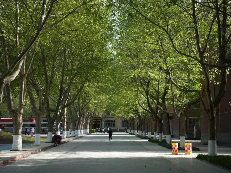 就业率超97%,毕业生入职世界500强!想读化学,来西京学院! 就业率超97%,毕业生入职世界500强!想读化学,来西京学院!