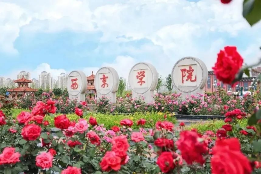 就业率超97%,毕业生入职世界500强!想读化学,来西京学院! 就业率超97%,毕业生入职世界500强!想读化学,来西京学院!