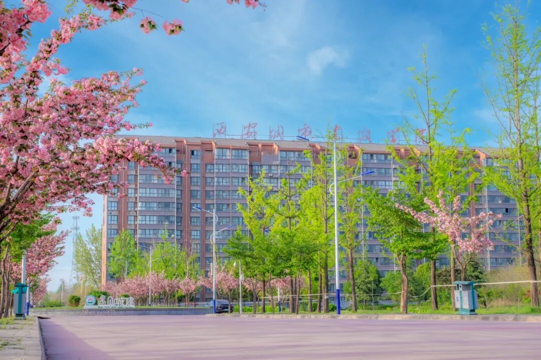 填报8105,相约西安城市建设职业学院 升学筑梦,就业致远 填报8105,相约西安城市建设职业学院 升学筑梦,就业致远