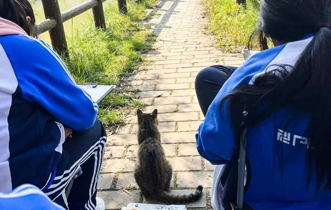 西安东方美术综合职业高中2025年招生公告 西安东方美术综合职业高中2025年招生公告