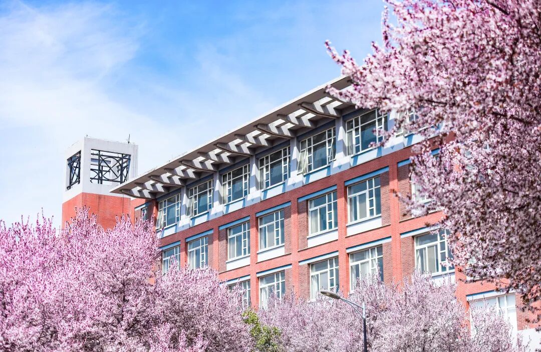 西安欧亚学院2026年高职分类考试招生章程 西安欧亚学院2026年高职分类考试招生章程