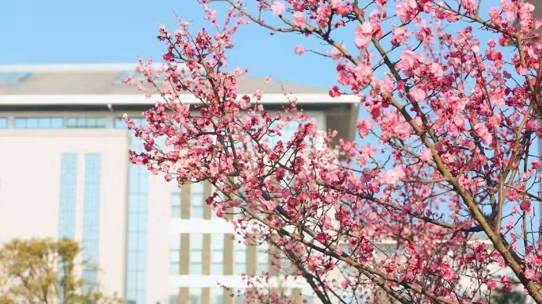 汉中职业技术学院2025年示范高职院校单独考试招生章程 汉中职业技术学院2025年示范高职院校单独考试招生章程