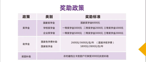 西安立讯科技技师学院职教高考升学部2025年招生简章