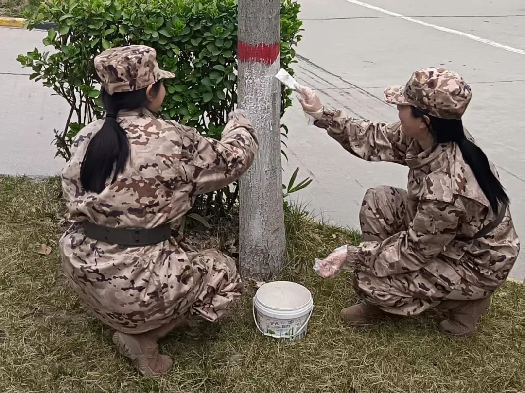 绿意盎然，播种希望—西安轨道交通技师学院植树节活动纪实