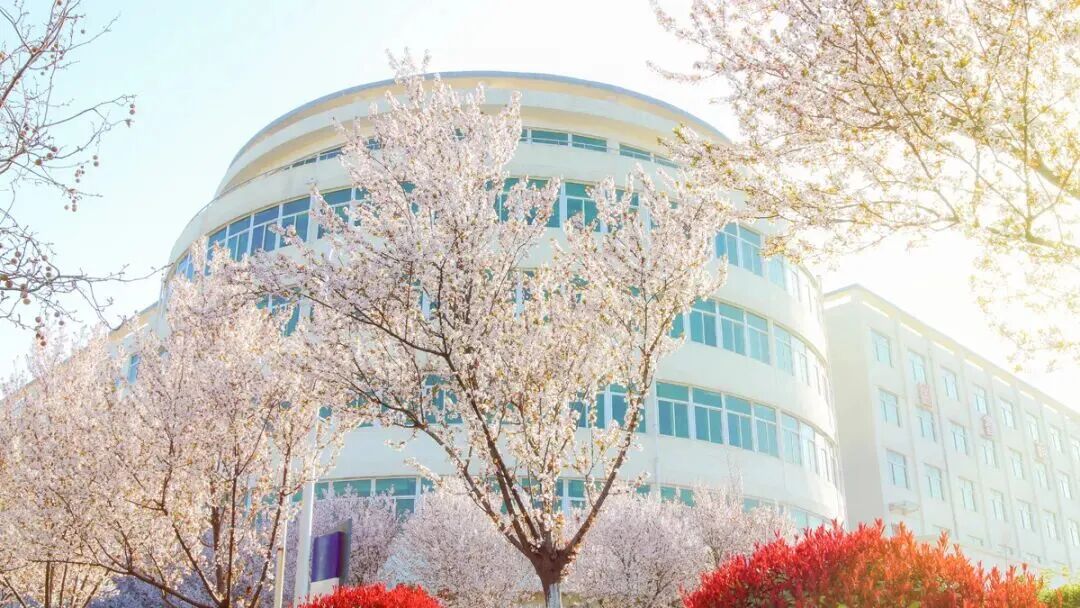 西安海棠职业学院2026年春季招聘公告