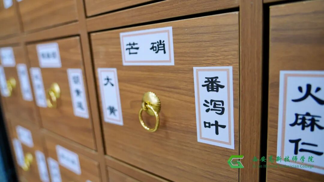 西安高新技师学院中药专业，带你传承国粹精华！