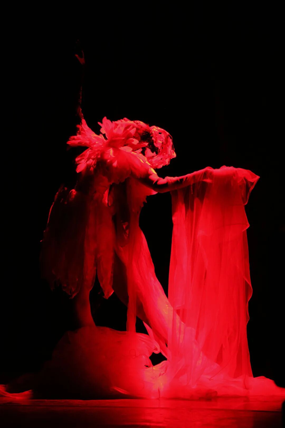 陕西服装工程学院师生共创独幕剧《惜鹤》亮相上海国际艺术节