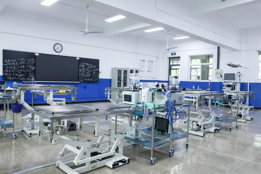 实训零距离｜探秘西安海棠职业学院农业医学技术系动物手术实训室