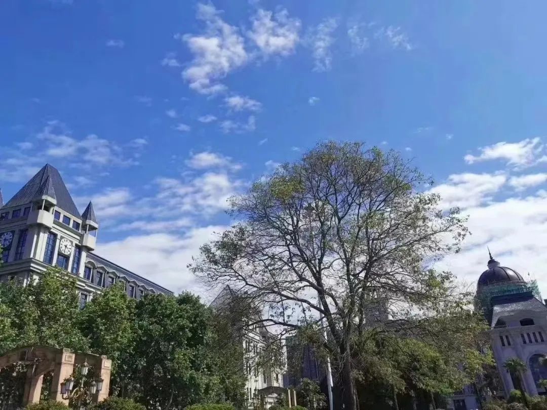 西安外事学院2025年招生章程