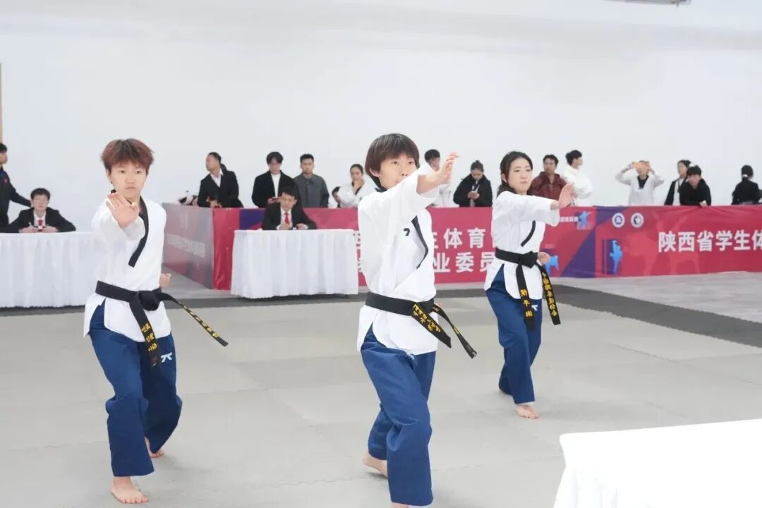 喜报！西安翻译学院学子在陕西省学生跆拳道精英赛中荣获佳绩