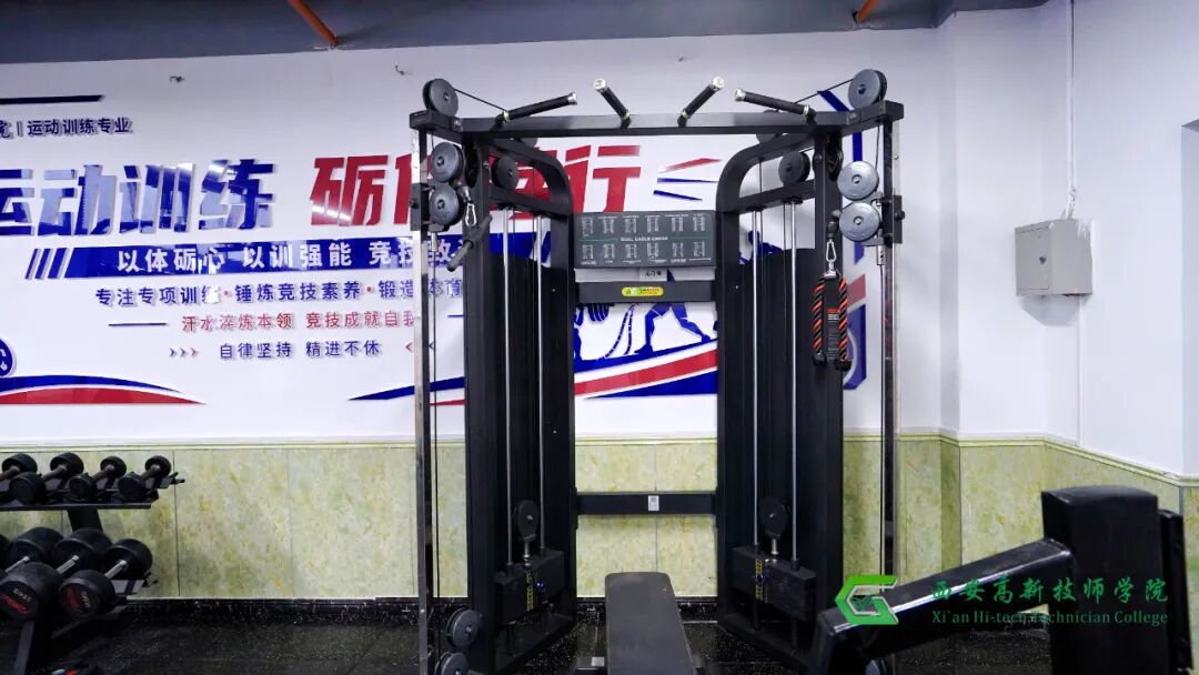 西安高新技师学院运动训练专业，为你量身打造体育技能成才路径！
