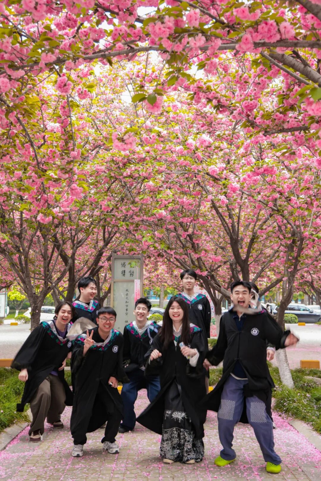 西京学院成功举办“西京樱花开·诗从长安来”第七届三秦文化节！