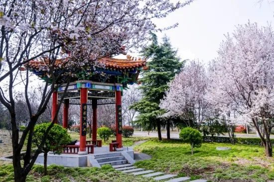 西安科技大学