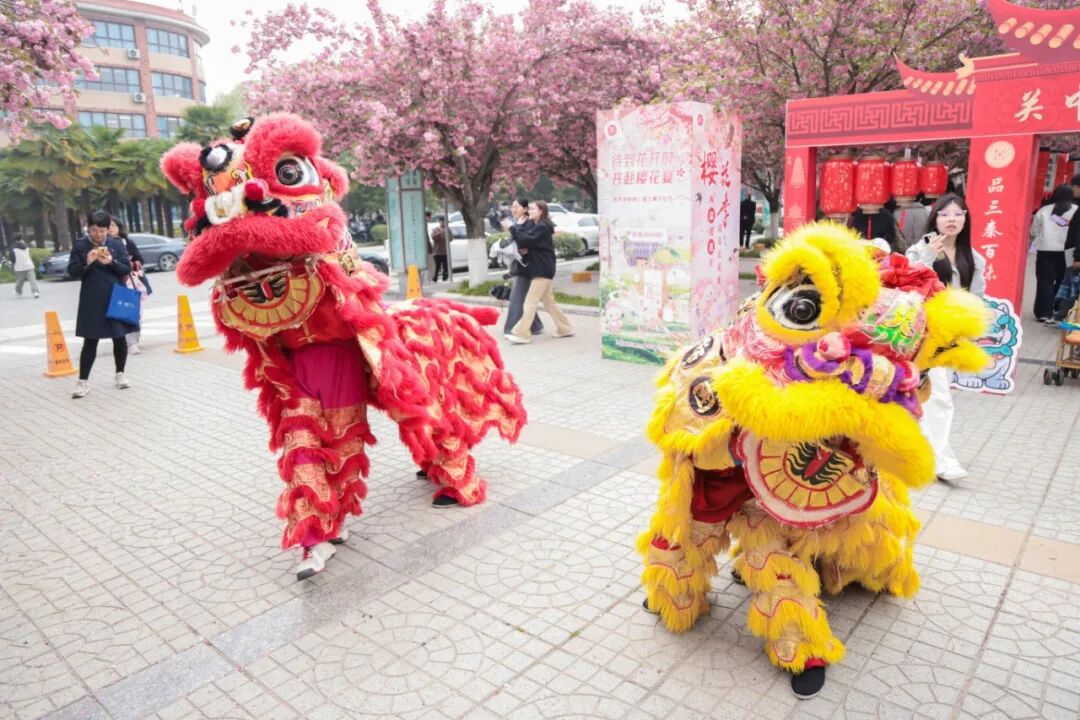 樱漫西京 网润芳华 —西京学院第七届三秦文化节打造网络育人新场景