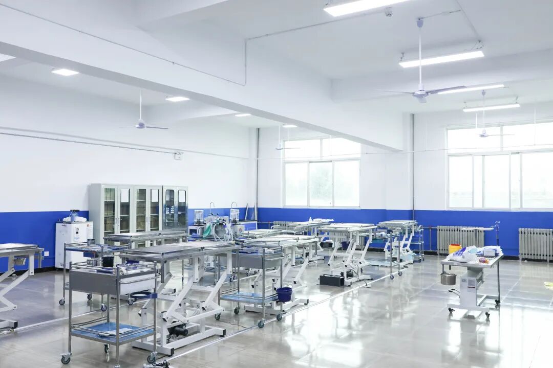 实训零距离｜探秘西安海棠职业学院农业医学技术系动物手术实训室