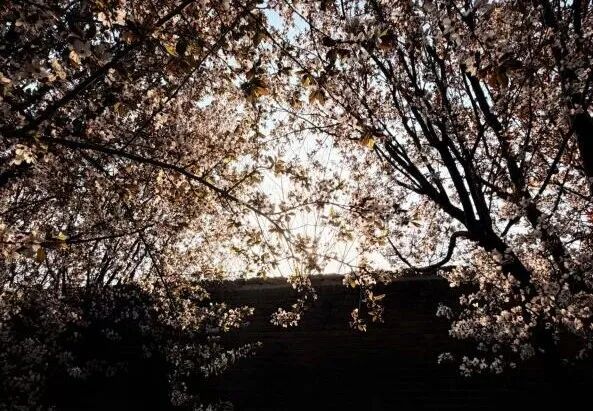 魅力陕旅！陕西旅游烹饪职业学院校园摄影大赛圆满落幕！