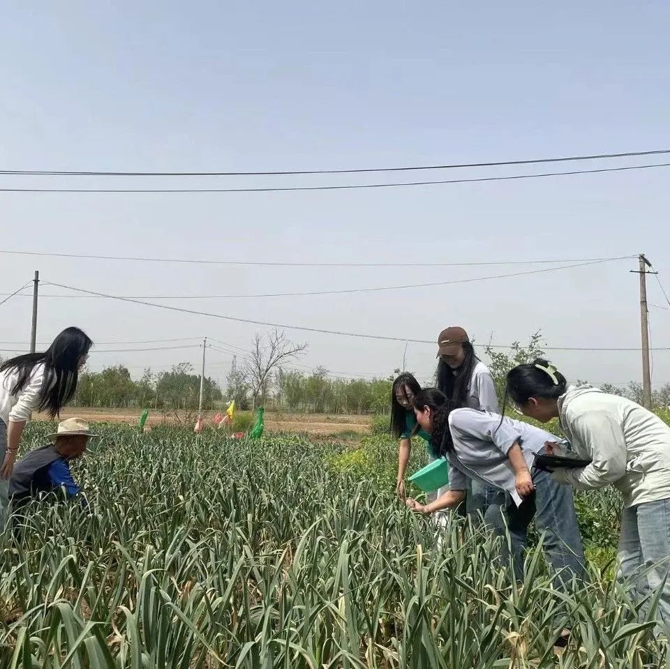 喜报+1！西安城市建设职业学院在陕西省职业院校技能大赛中斩获佳绩