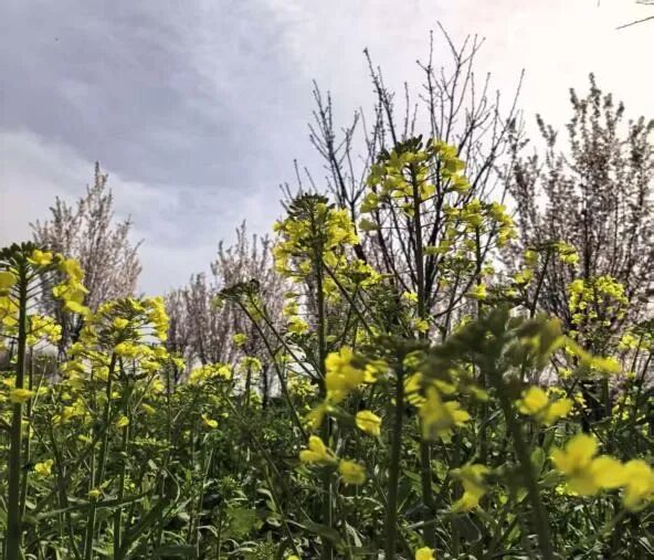 魅力陕旅！陕西旅游烹饪职业学院校园摄影大赛圆满落幕！