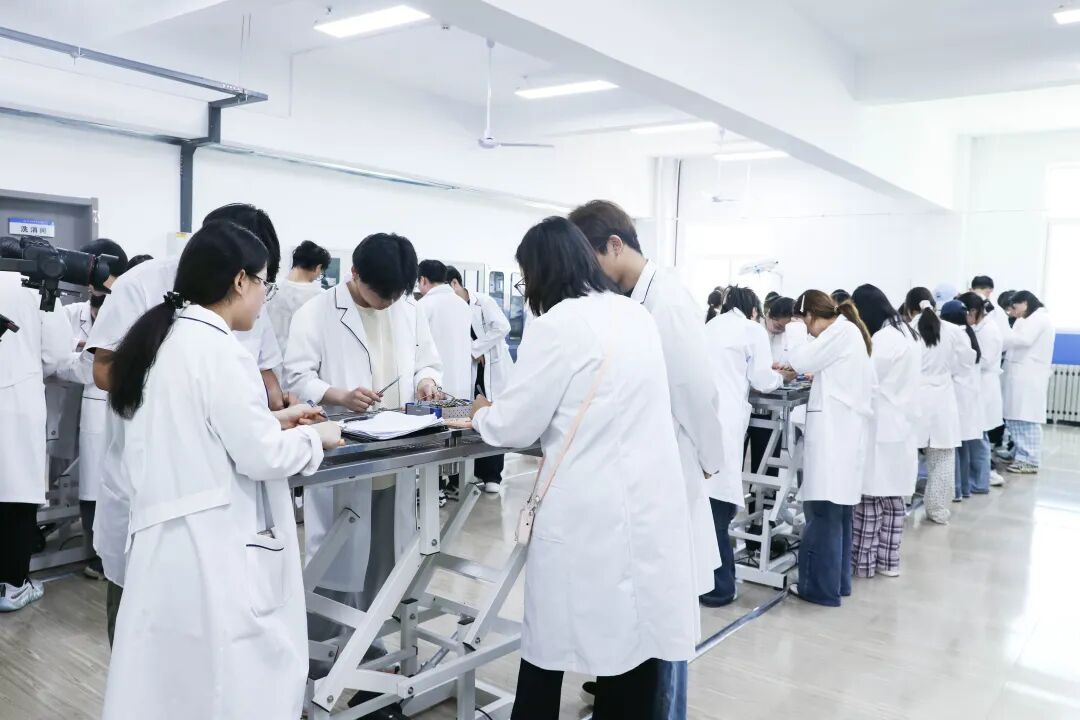 实训零距离｜探秘西安海棠职业学院农业医学技术系动物手术实训室