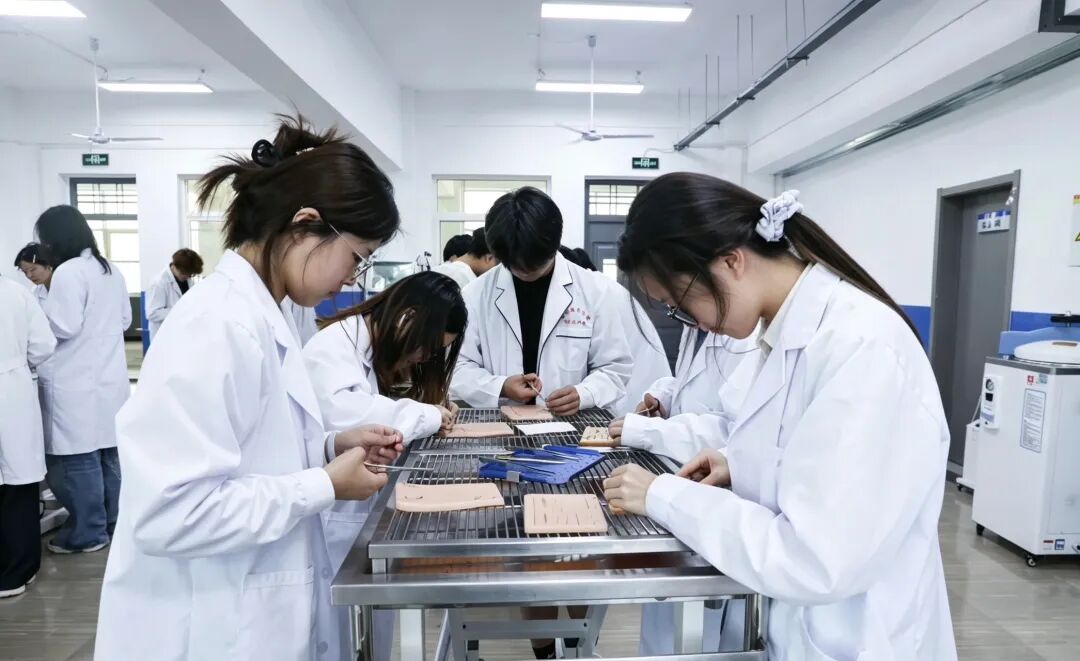 实训零距离｜探秘西安海棠职业学院农业医学技术系动物手术实训室