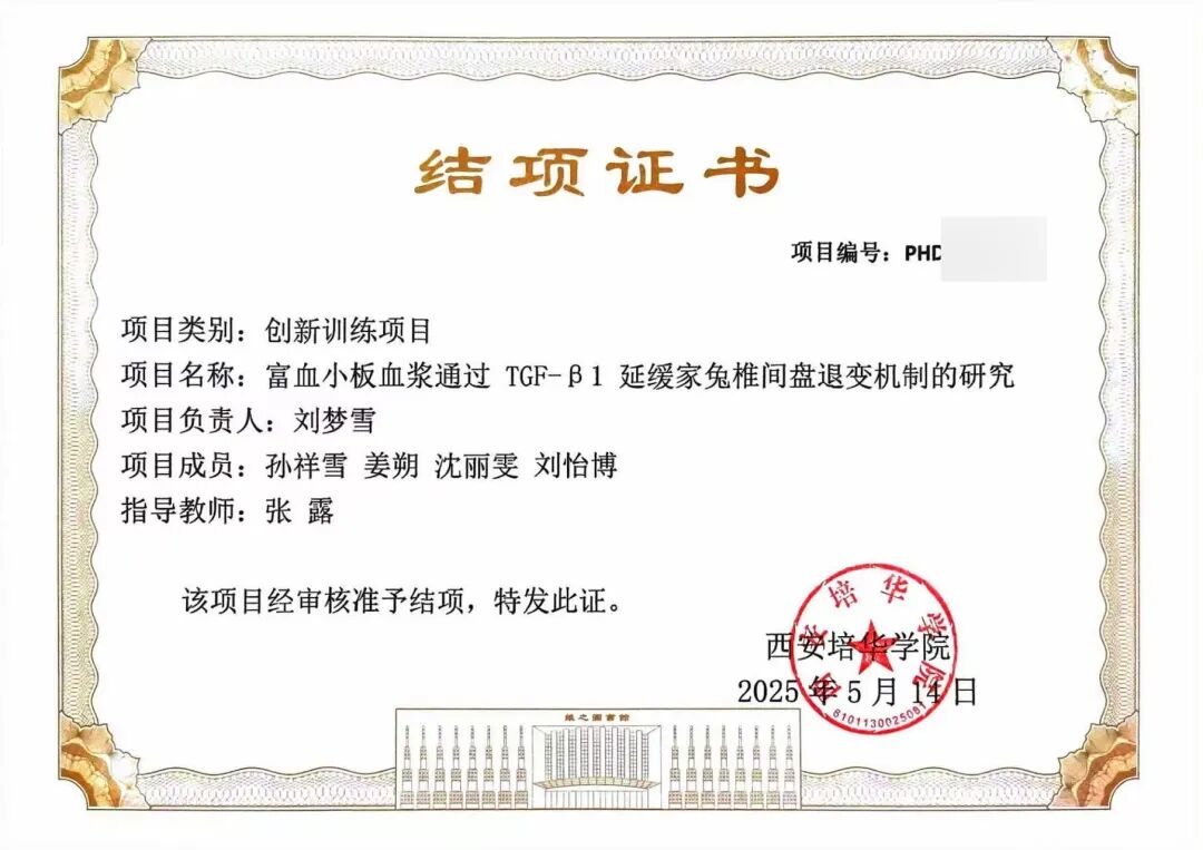 “老师，我们五个都考上了！”西安培华学院学子再传研途捷报！