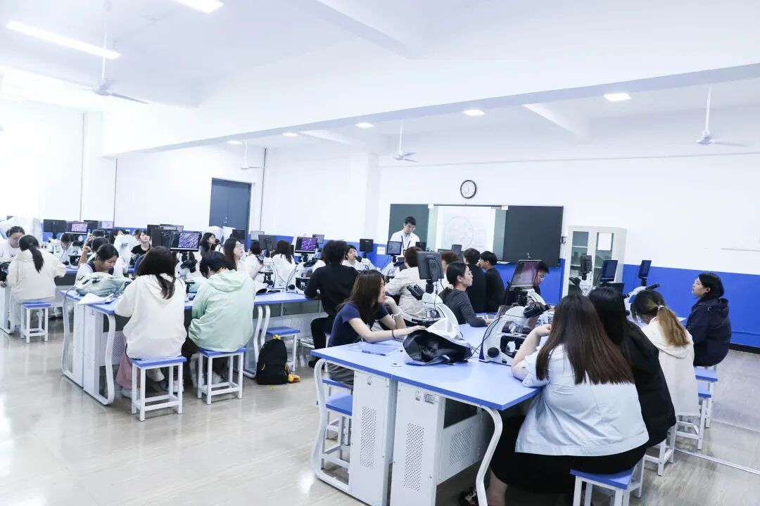 实训零距离｜探秘西安海棠职业学院农业医学技术系显微互动实训室