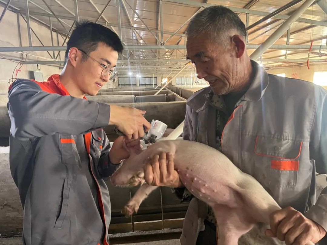 杨凌职业技术学院：新型“订单班”走俏 加速产教融合“双向奔赴”