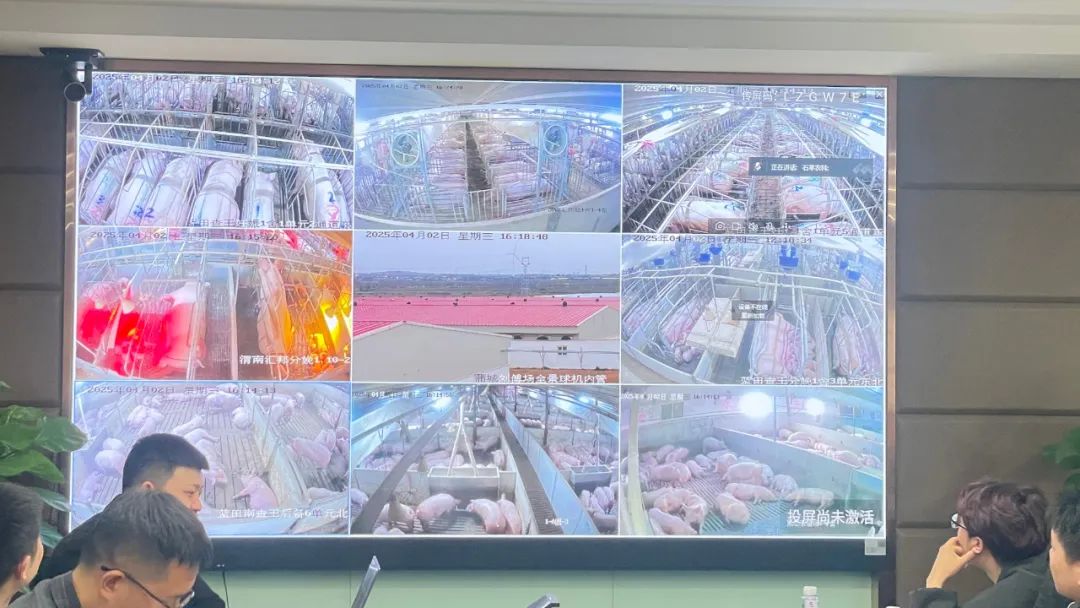 杨凌职业技术学院：新型“订单班”走俏 加速产教融合“双向奔赴”