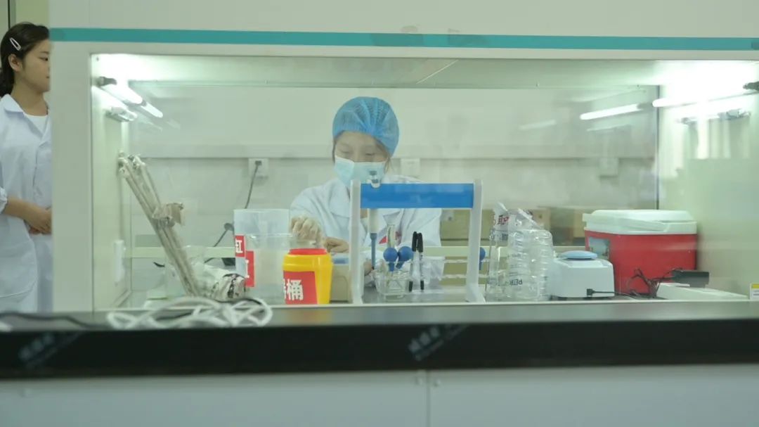 陕西省职业院校技能大赛高职组10个赛项在杨凌职业技术学院举行