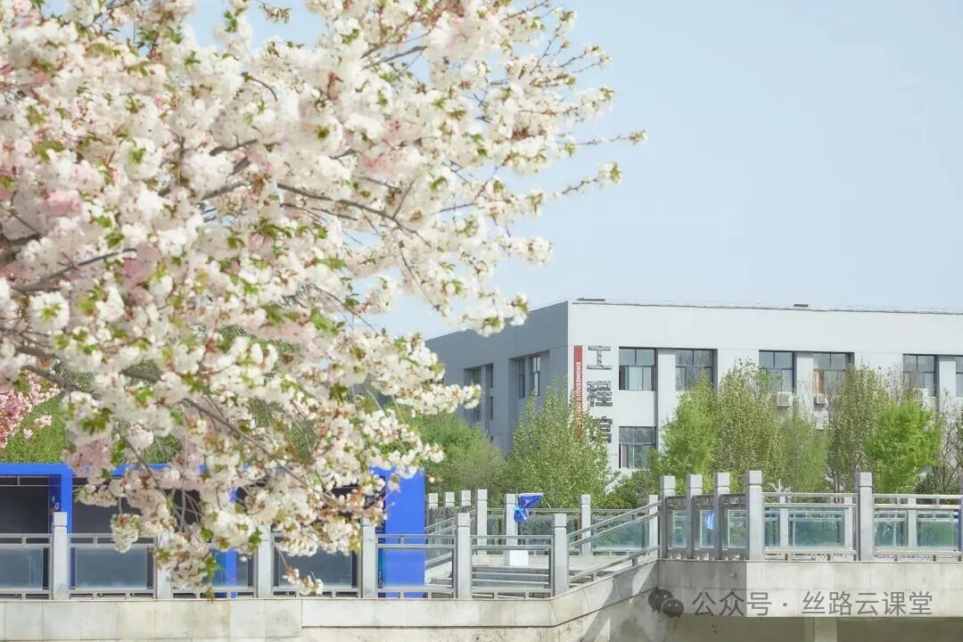 2026年西安工商学院专升本招生简章