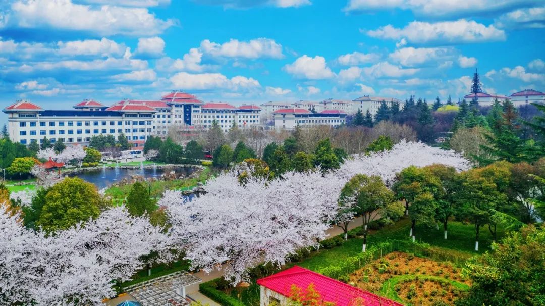 西安思源学院举办第十五届“白鹿雅集·樱花颂春”文化盛会