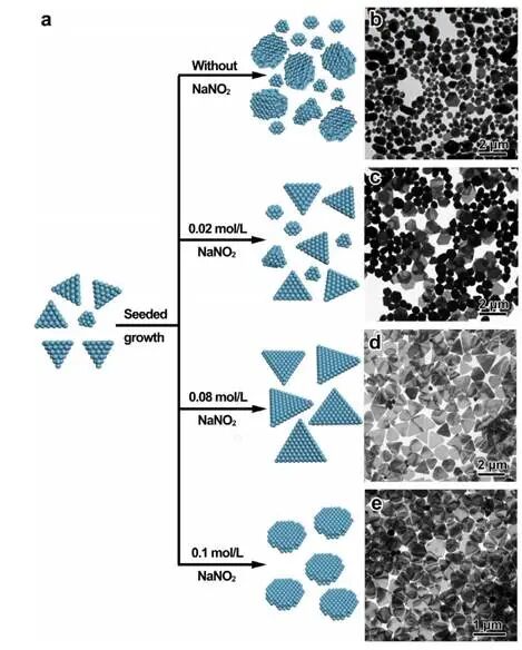 西京学院刘凯，西安交通大学高传博团队AFM：亚硝酸盐辅助的超薄银纳米片的合成及其在柔性电极制备中的应用