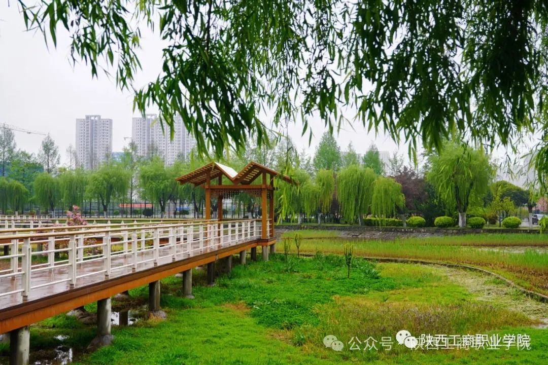 陕西工商职业学院2025年综合评价招生简章