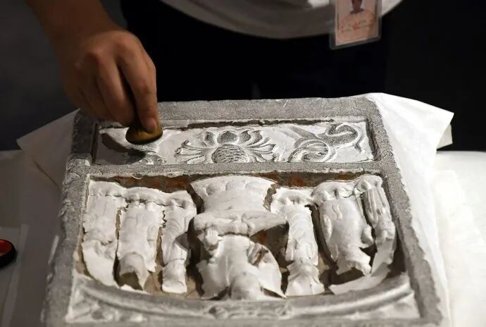 首次亮相！陕西农林职业技术大学“农高会会客厅”大有看头