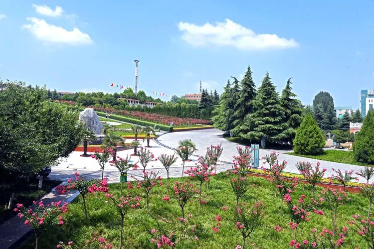 西京学院2025年博士招聘公告