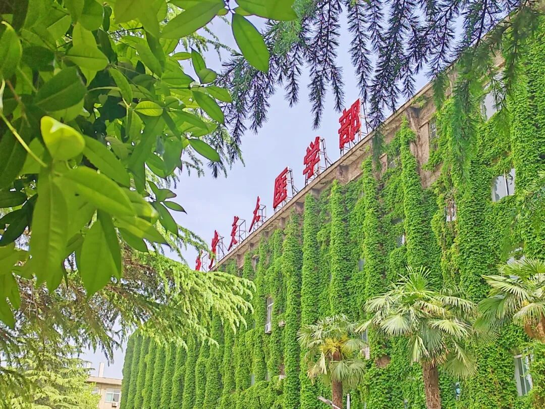 西安交通大学2026年硕士研究生招生复试基本分数线