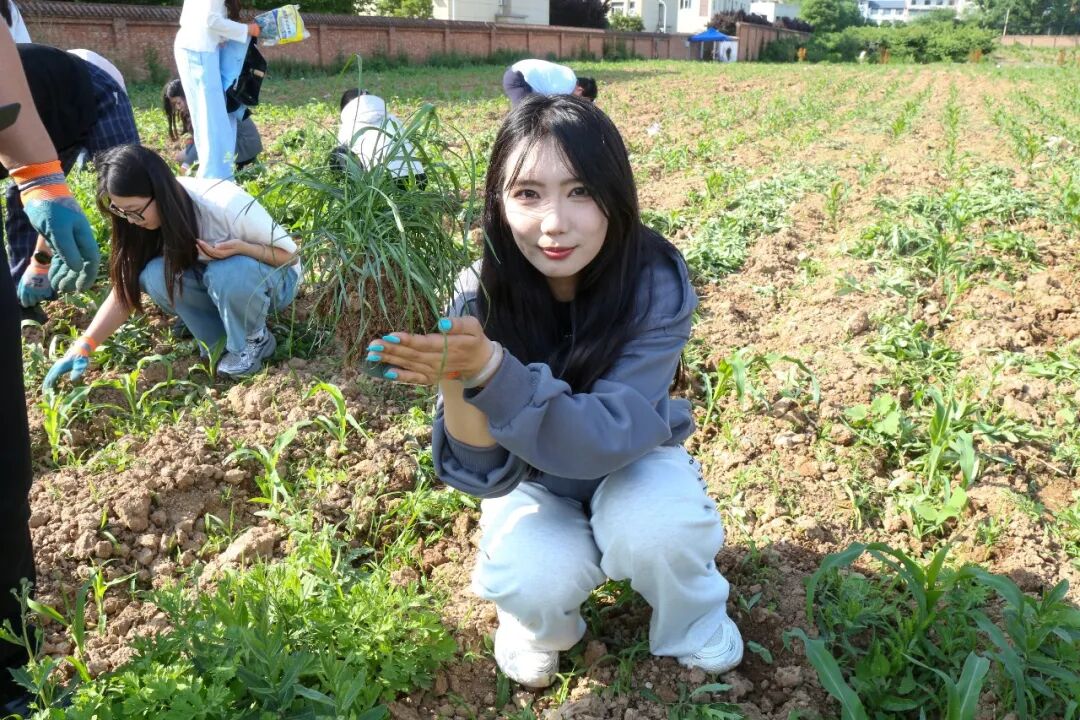 西安海棠职业学院组织青年学子开展除草护绿劳动实践活动