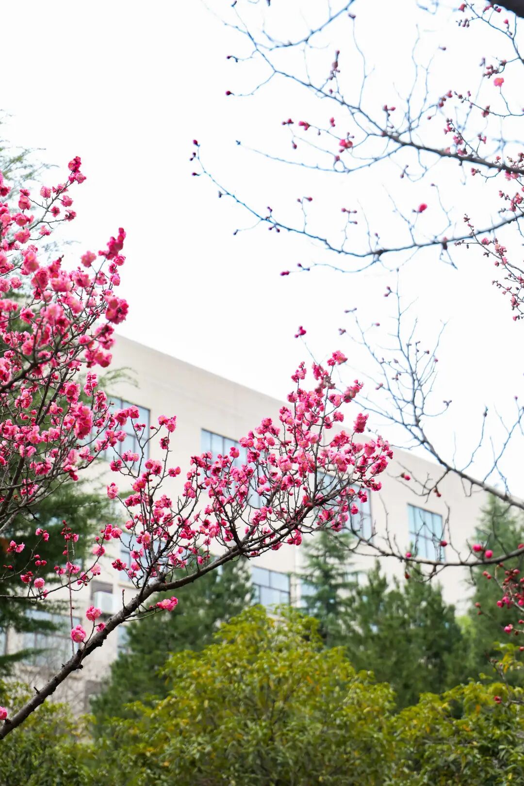 第一课开讲！西安培华学院的打开方式是这样的！