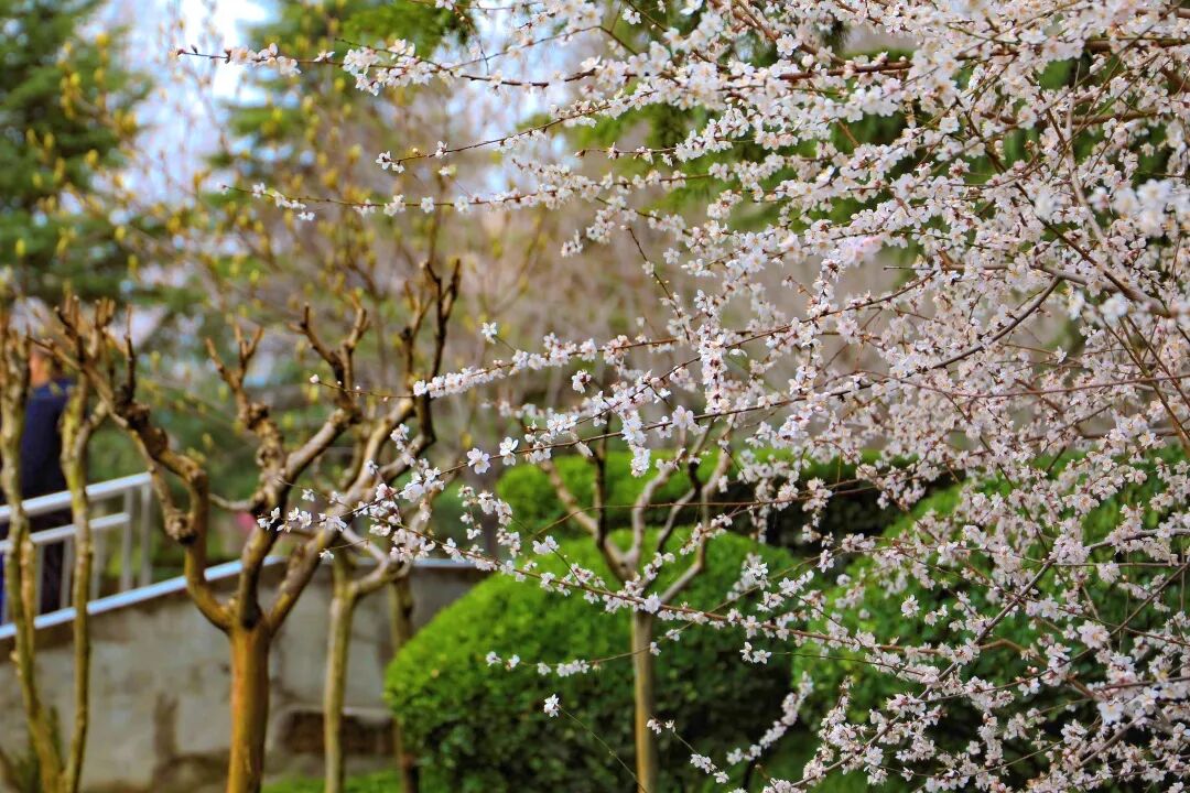第一课开讲！西安培华学院的打开方式是这样的！