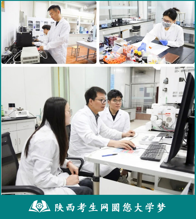 9@2025高考生！西京学院“光电信息材料与器件”专业开启战略新兴人才培养新篇章2.jpg