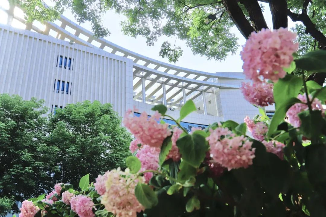 破圈！西安翻译学院把企业搬进课堂，打造"毕业即上岗"的人才生产线