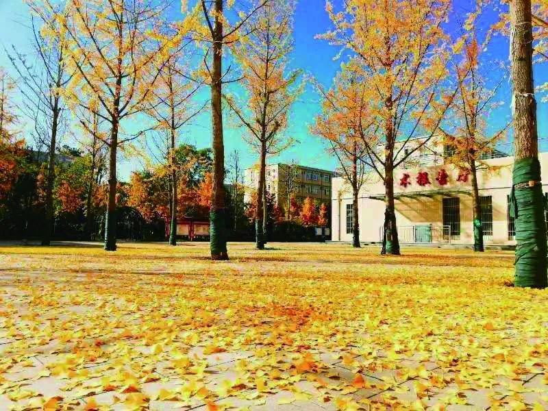 西安职业技术学院新校区