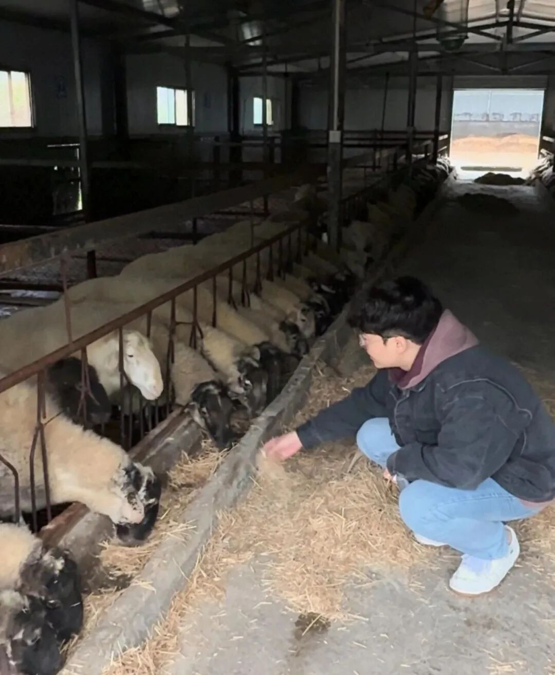 捷报频传！西安培华学院教学科研成果再现新突破