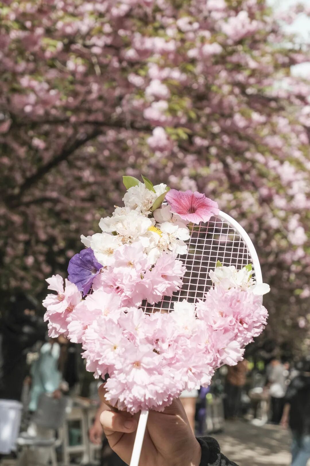 春序樱约  筑梦芳华 | 西安汽车职业大学首届春序樱花节浪漫启幕