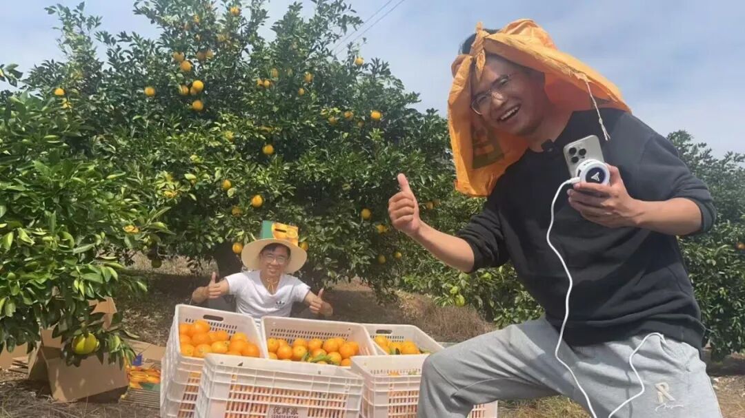 陕西省教育厅官方报道｜西京学院陈宁杨一名“客家人”CEO的乡村振兴创业路典型事迹