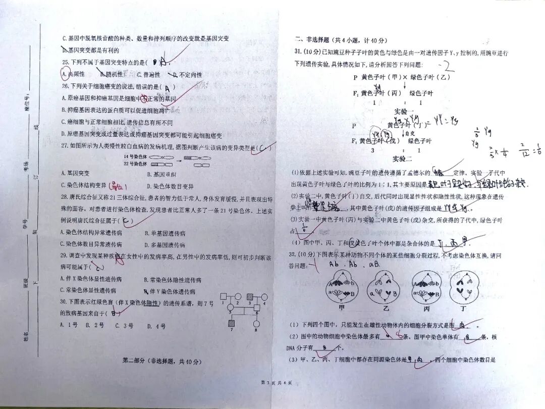 从课堂到考场，从笔记到试卷 | 西安新高教职业高中学子给出了一份满意的答卷！