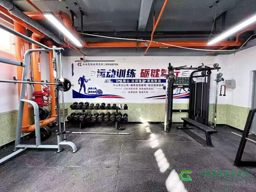 西安高新技师学院运动训练专业，为你量身打造体育技能成才路径！